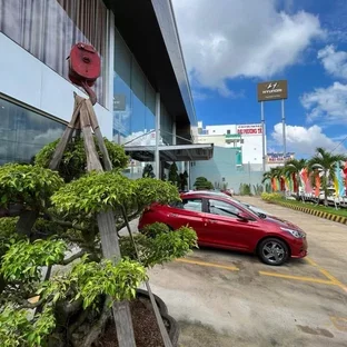 Hình ảnh hoạt động tư vấn xe tại Cà Mau